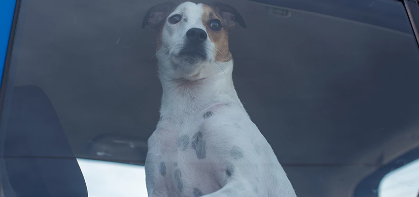 Car Lockout Solutions in Apple Valley, California